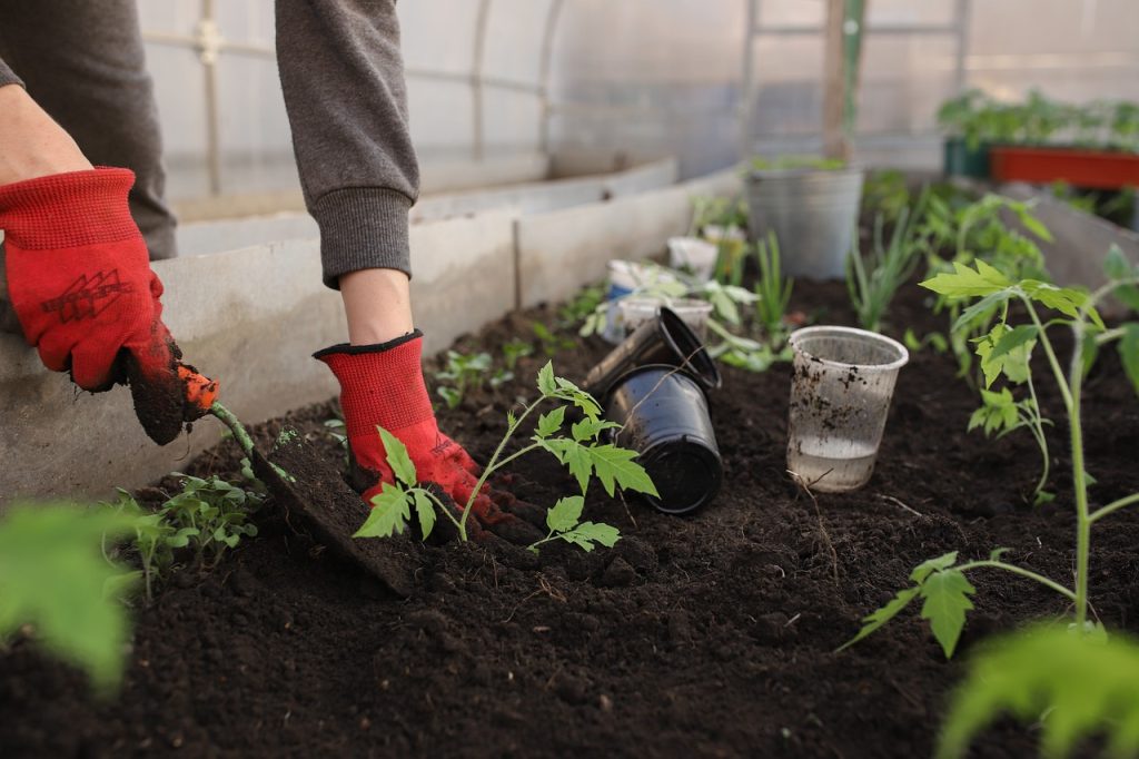 Innovatief meten in de tuinbouw: ontdek de kracht van Nieuwkoop BV Innovatief meten in de tuinbouw: ontdek de kracht van Nieuwkoop BV