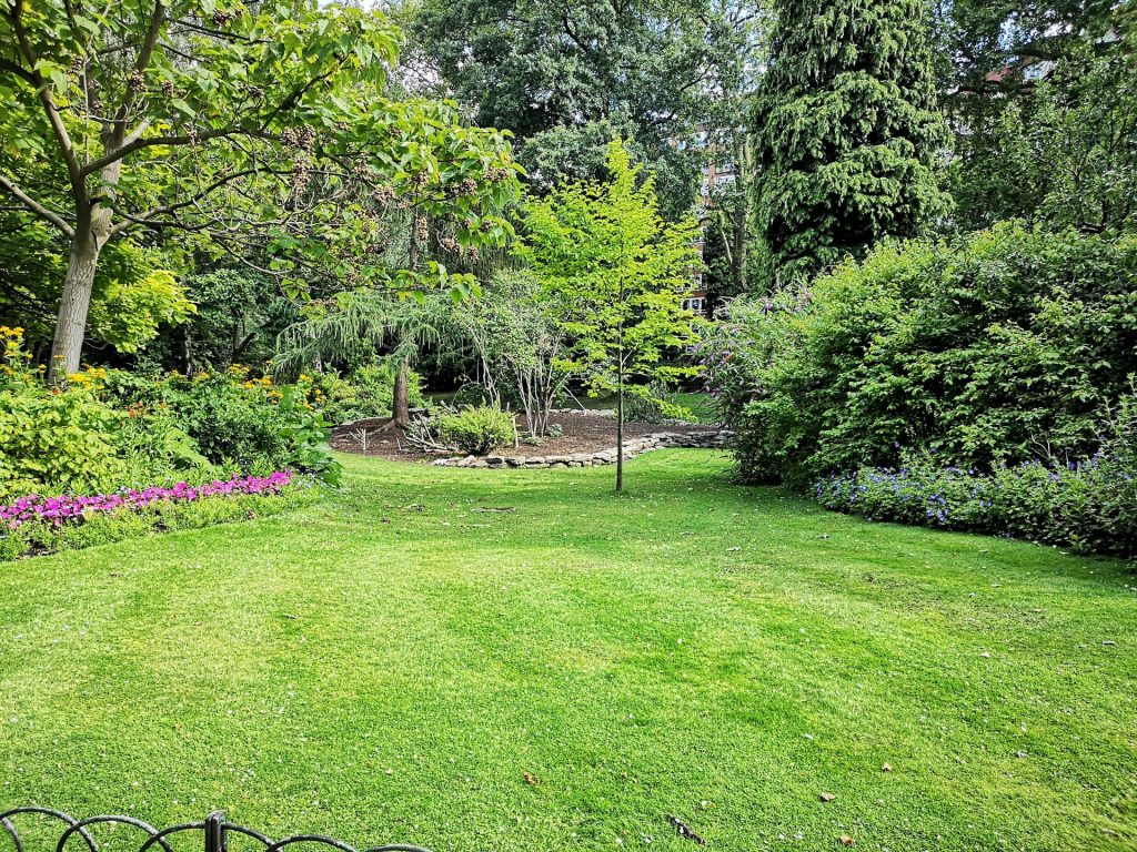Tuinonderhoud voor bedrijven: zo houd je een zakelijke buitenruimte in topconditie Tuinonderhoud voor bedrijven: zo houd je een zakelijke buitenruimte in topconditie